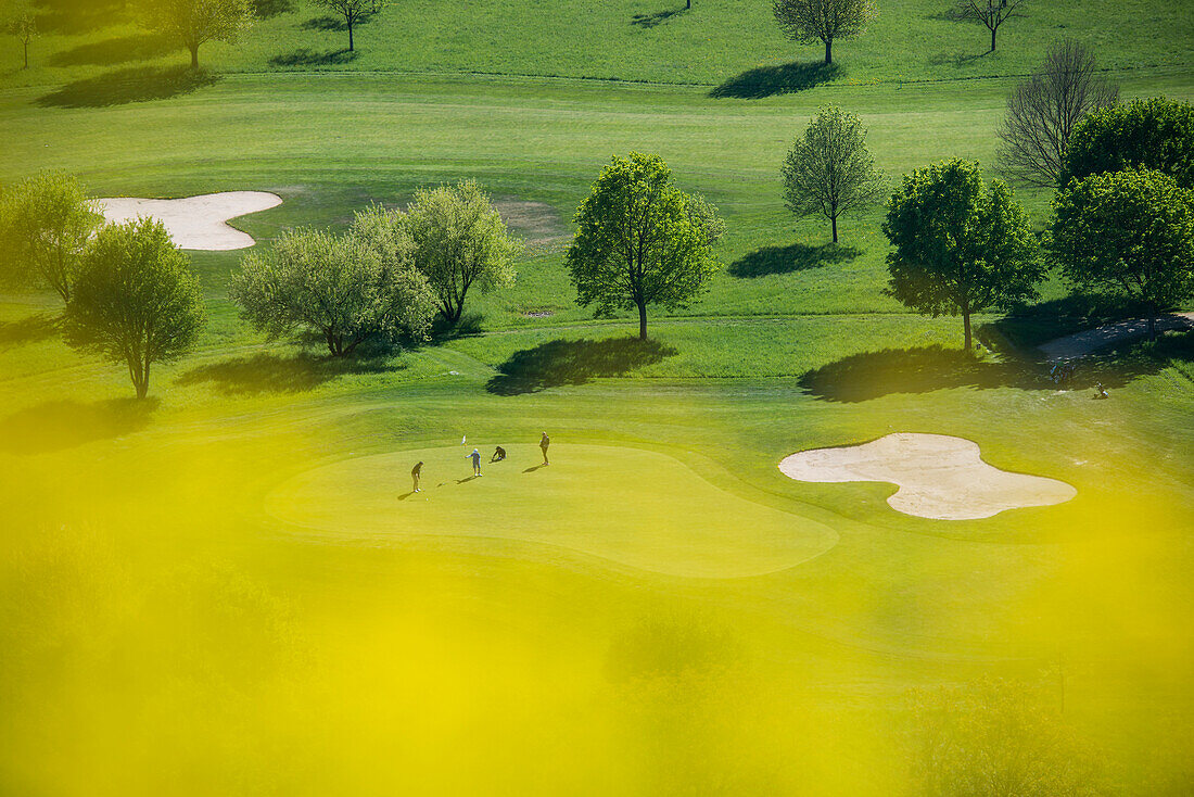 Luftaufnahme eines Golfplatzes, nahe Freiburg im Breisgau, Schwarzwald, Baden-Württemberg, Deutschland