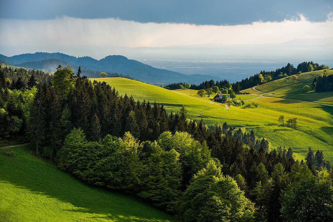 Schauinsland, nahe Freiburg im Breisgau, Schwarzwald, Baden-Württemberg, Deutschland