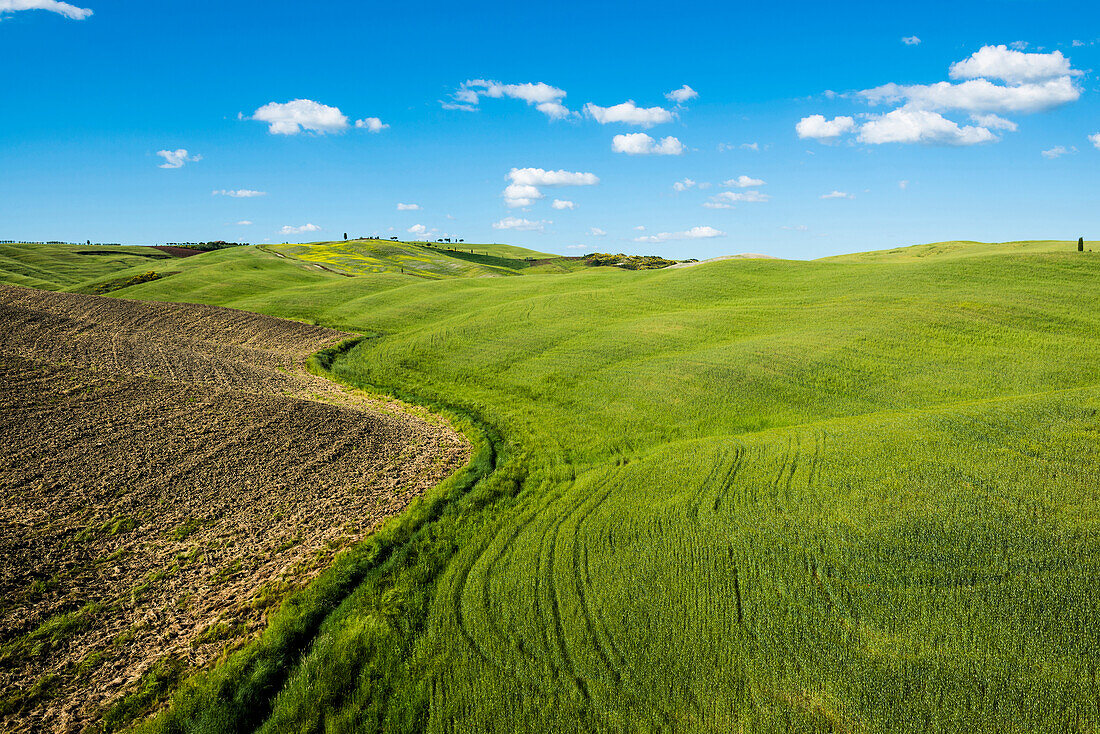 landscape, near San Quirico d`Orcia, Val d`Orcia, province of Siena, Tuscany, Italy, UNESCO World Heritage