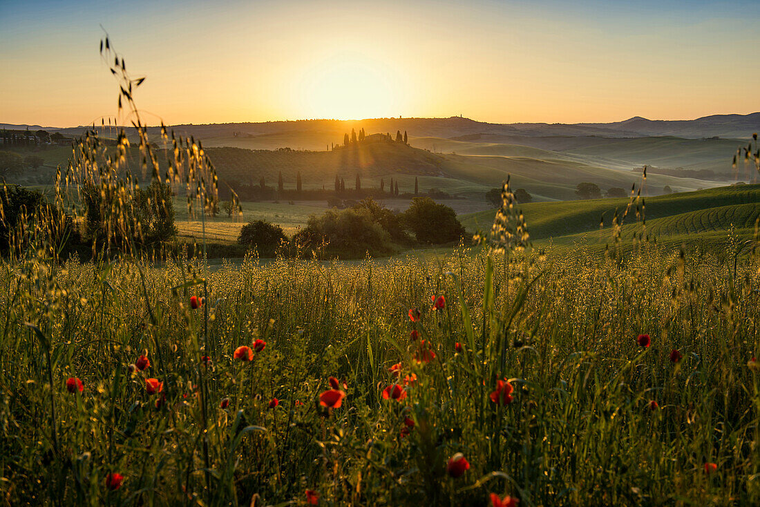 Landhaus und Zypressen bei Sonnenaufgang, bei San Quirico d'Orcia, Val d'Orcia, Provinz Siena, Toskana, Italien, UNESCO Welterbe