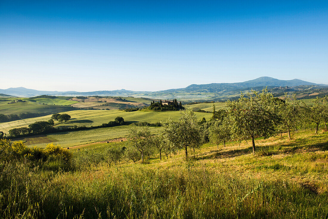 Landschaft bei San Quirico d'Orcia, Val d'Orcia, Provinz Siena, Toskana, Italien, UNESCO Welterbe