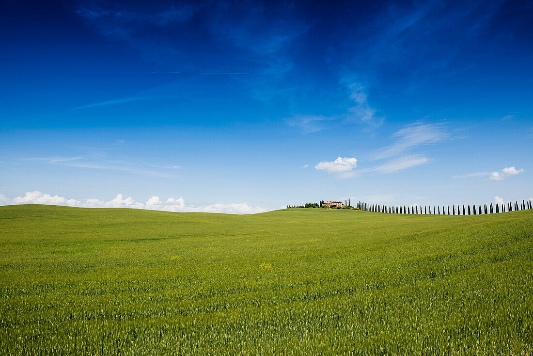 country residence and cypress trees, near San Quirico d`Orcia, Val d`Orcia, province of Siena, Tuscany, Italy, UNESCO World Heritage