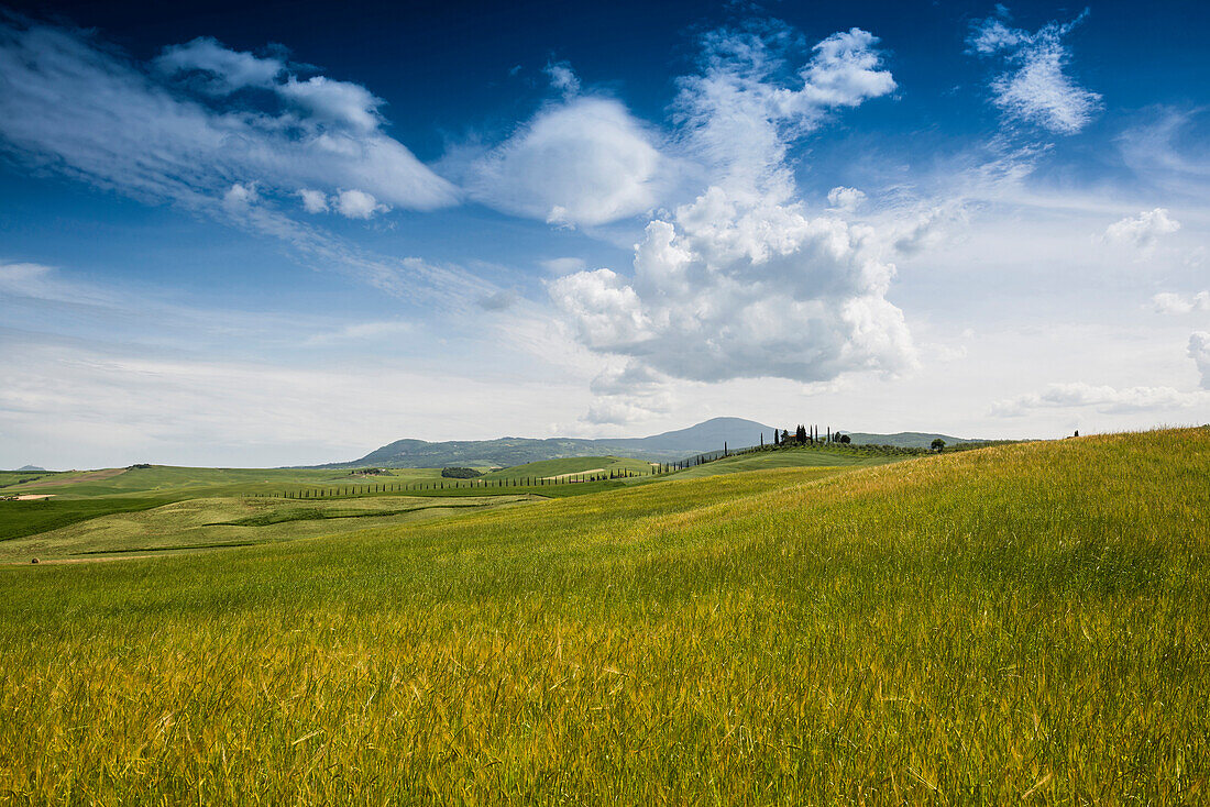 Landschaft bei San Quirico d'Orcia, Val d'Orcia, Provinz Siena, Toskana, Italien, UNESCO Welterbe