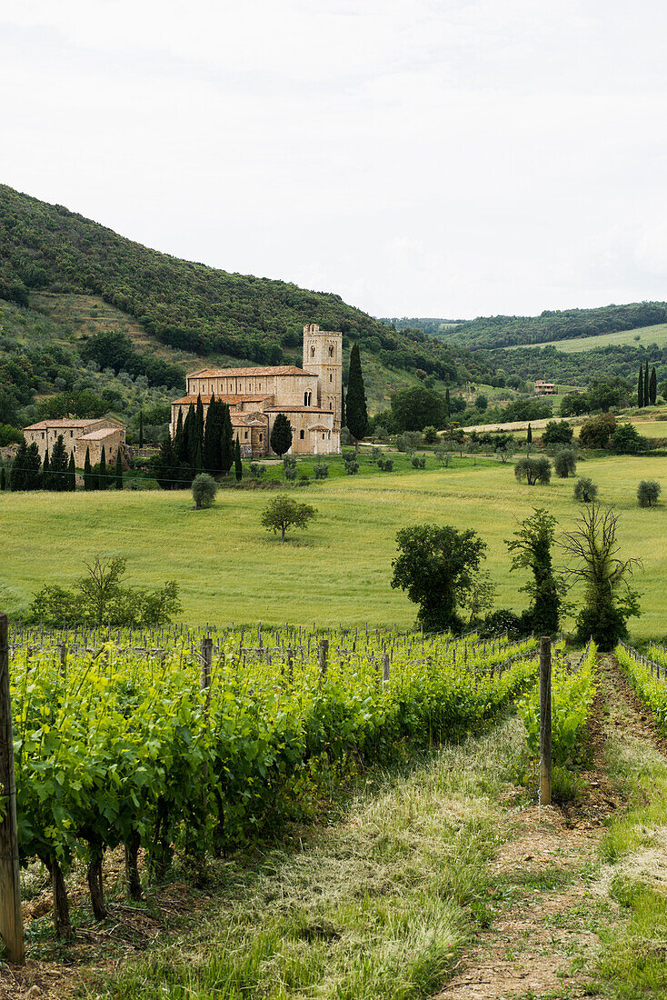 Abbey of Sant`Antimo near Montalcino, Val d`Orcia, province of Siena, Tuscany, Italy, UNESCO World Heritage