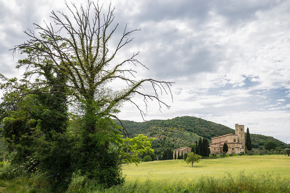 Abbey of Sant`Antimo near Montalcino, Val d`Orcia, province of Siena, Tuscany, Italy, UNESCO World Heritage