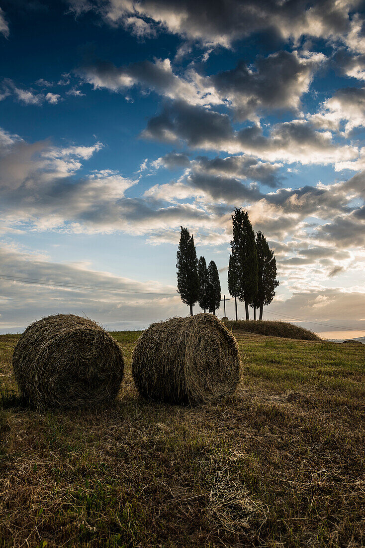 Zypressen und Sonnenaufgang, bei San Quirico d'Orcia, Val d'Orcia, Provinz Siena, Toskana, Italien, UNESCO Welterbe