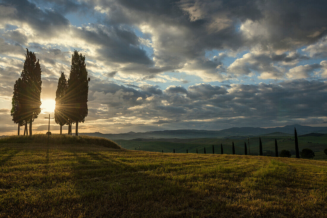 cypress trees at sunrise, near San Quirico d`Orcia, Val d`Orcia, province of Siena, Tuscany, Italy, UNESCO World Heritage