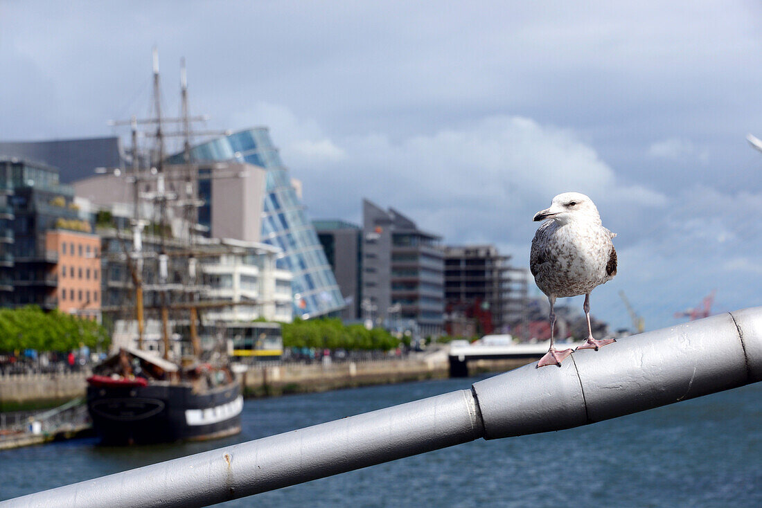 view over the Liffey River, Convention Centre Dublin, CCD, Docklands, Dublin, Ireland