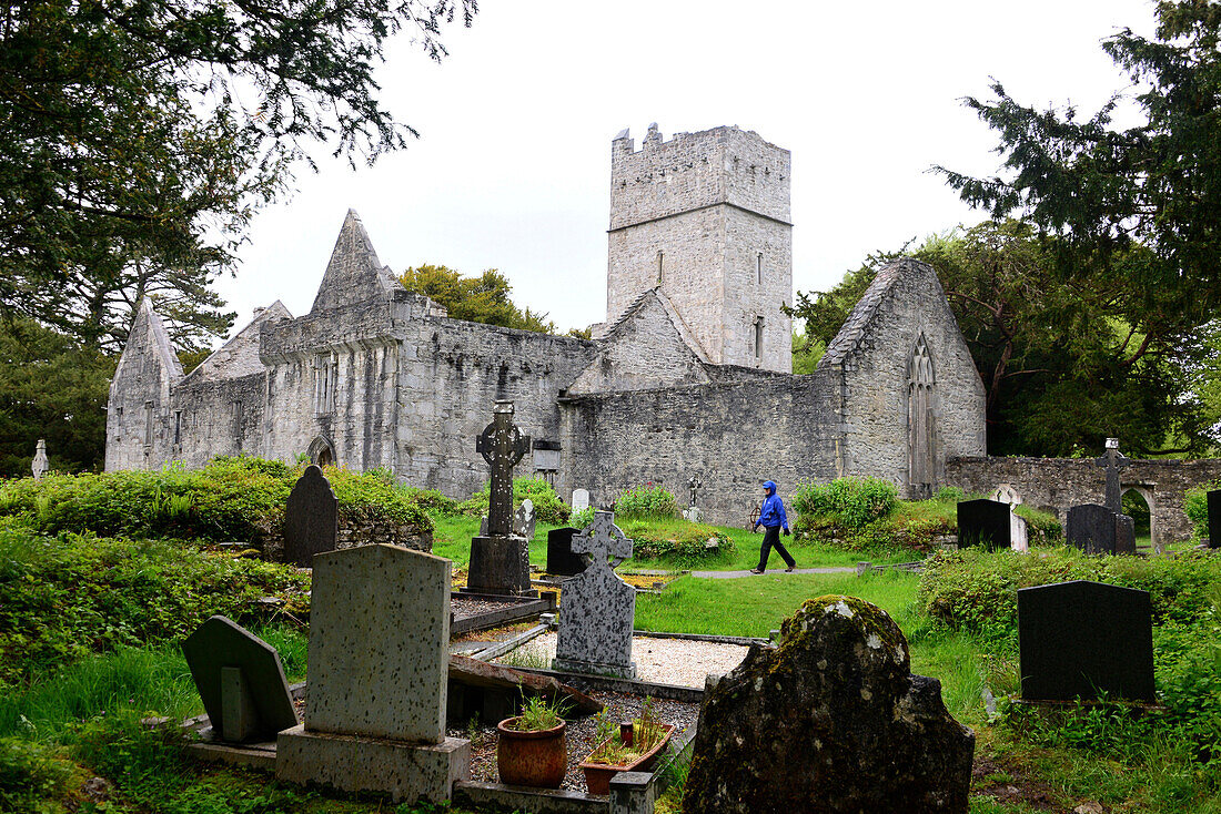 Mukross Abbey ruins at Lough Leane near Killarney, Ireland
