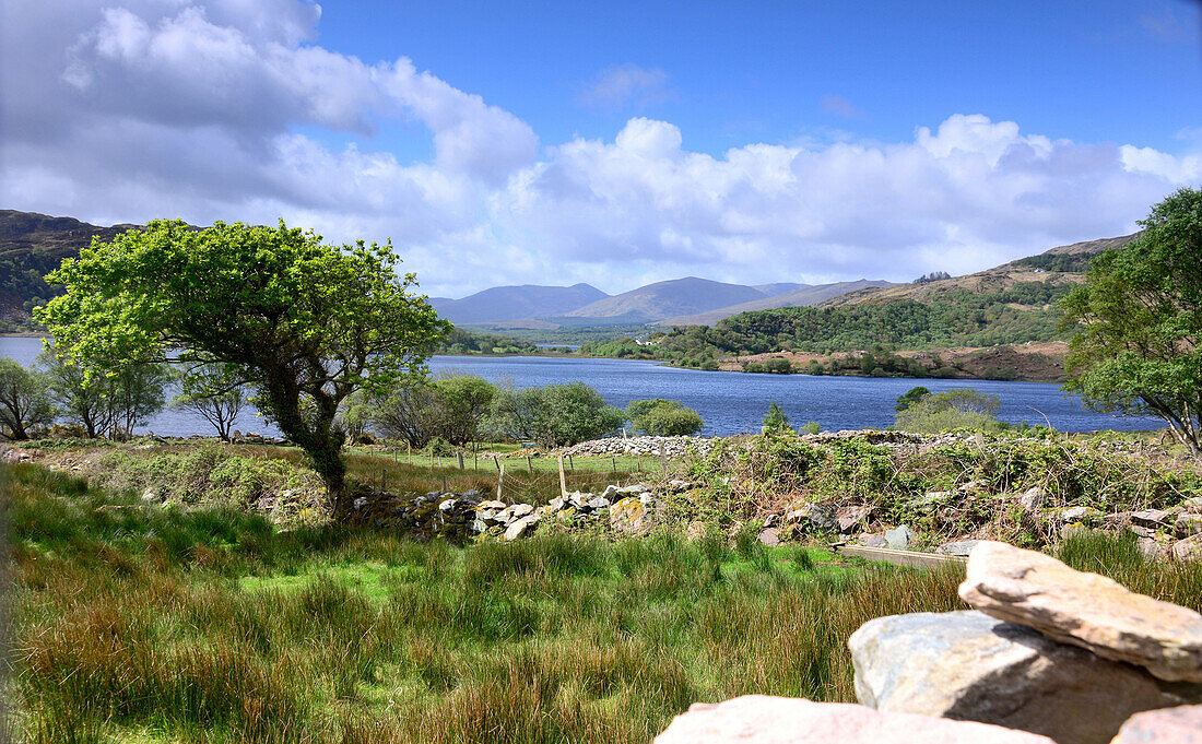 am Caragh Lake am Ring of Kerry, Kerry, Irland