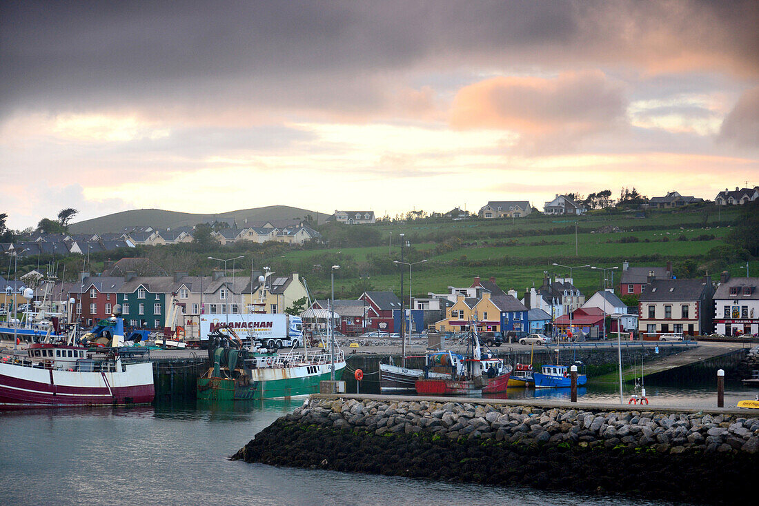 Dingle harbour in the evening, Dingle peninsula, Kerry, West coast, Ireland