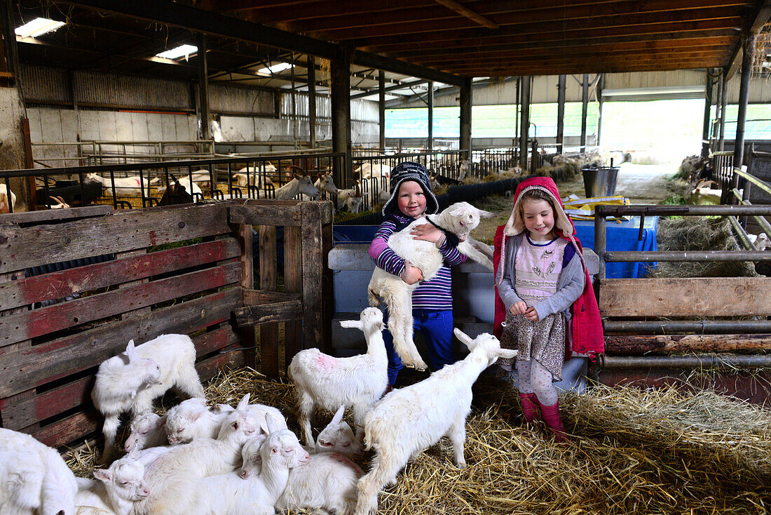 Children at a goat farm in Clare, West coast, Ireland