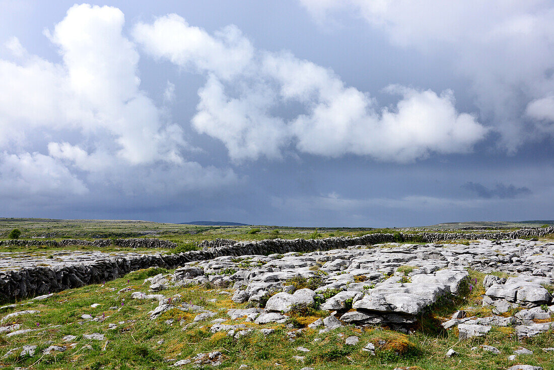 In the Burren, Clare, West coast, Ireland