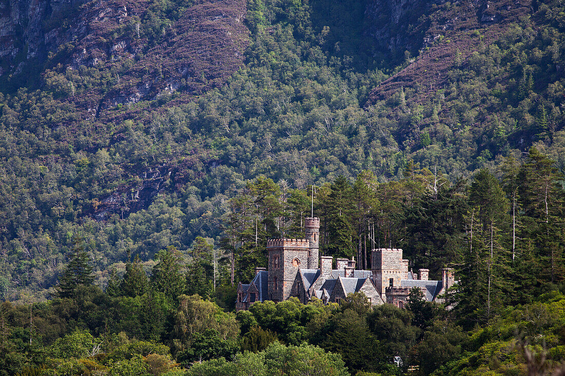 'Castle on a hill in a forest;Plockton ros-shire scotland'
