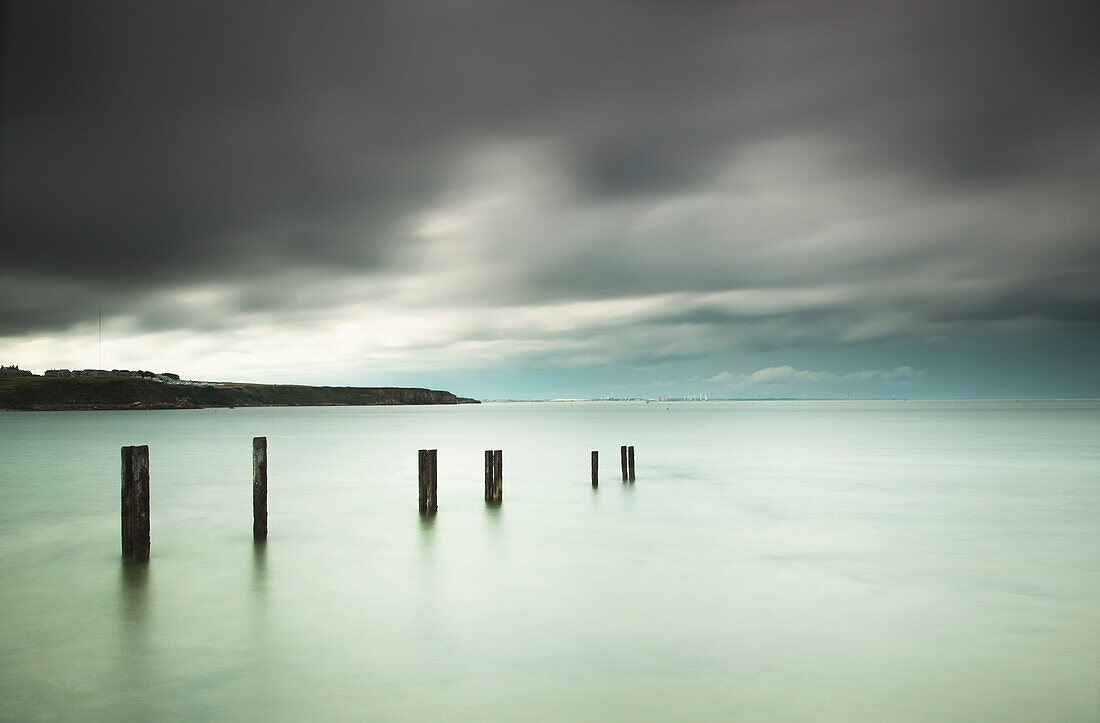 'Wooden posts in a row in the shallow water along the coast under storm clouds;St. mary's bay northumberland england'