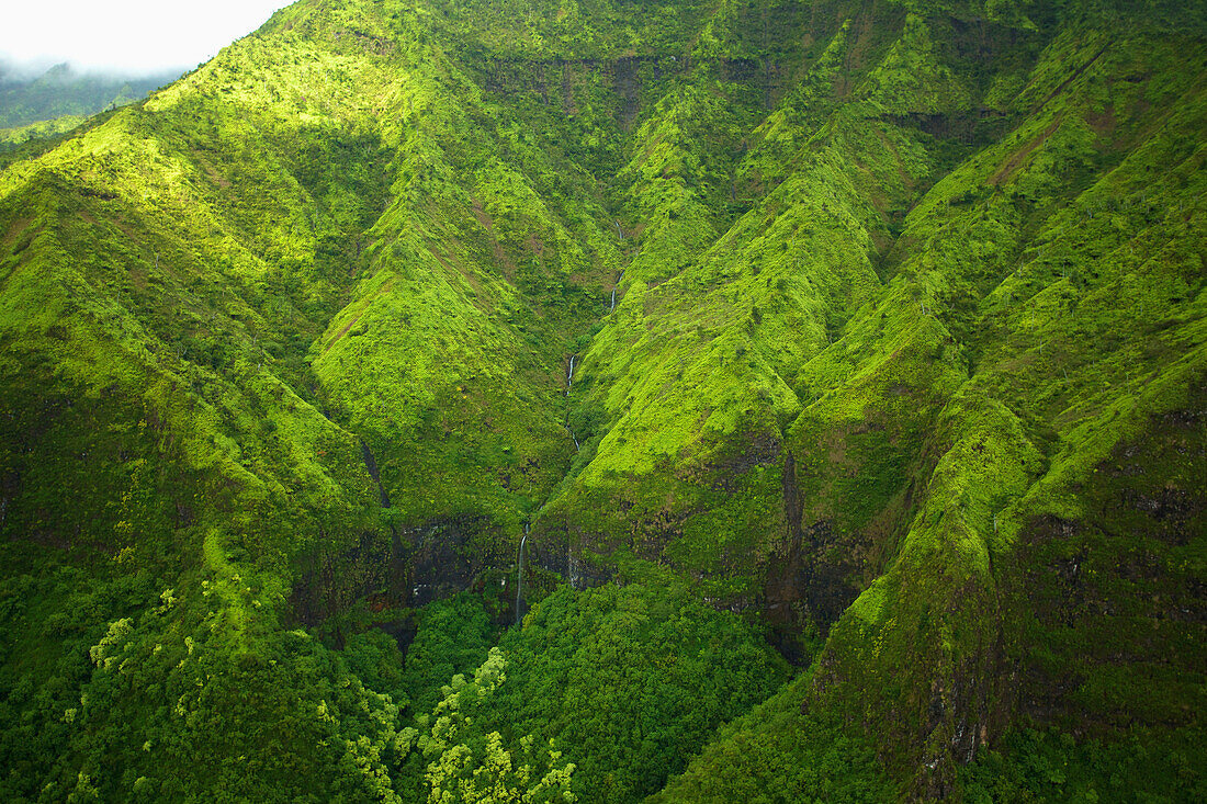 'Rugged mountainside covered with lush green foliage;Hawaii united states of america'