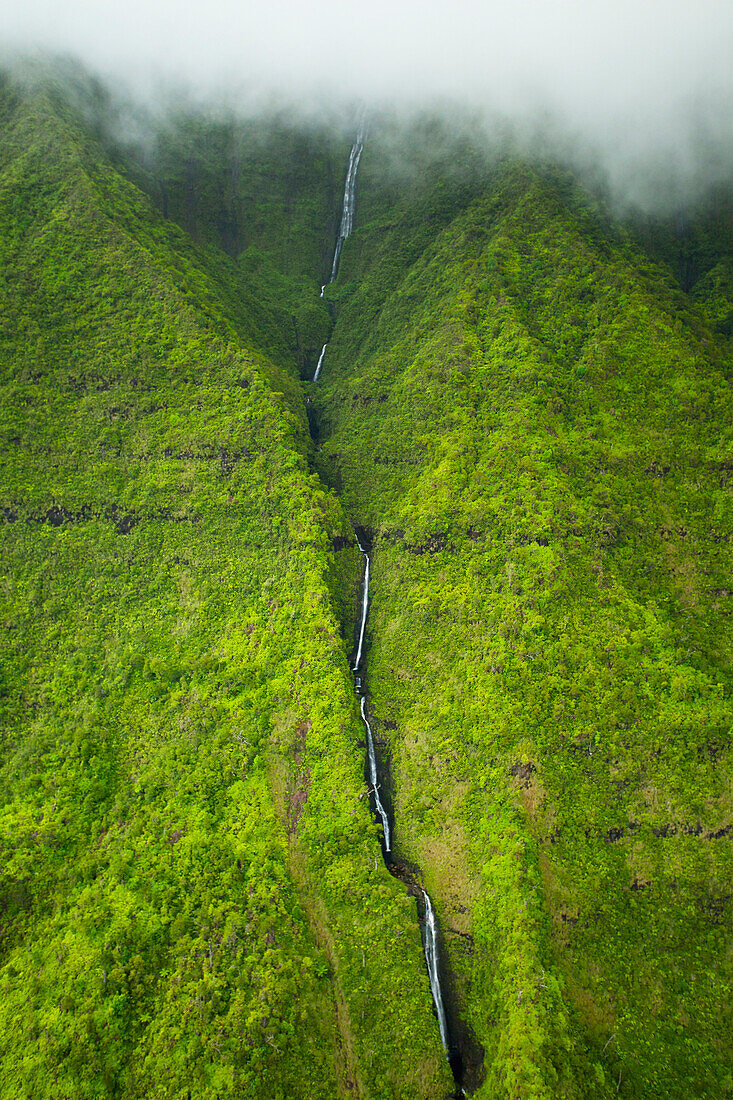 'A stream flowing down a lush green mountainside with low lying cloud;Hawaii united states of america'