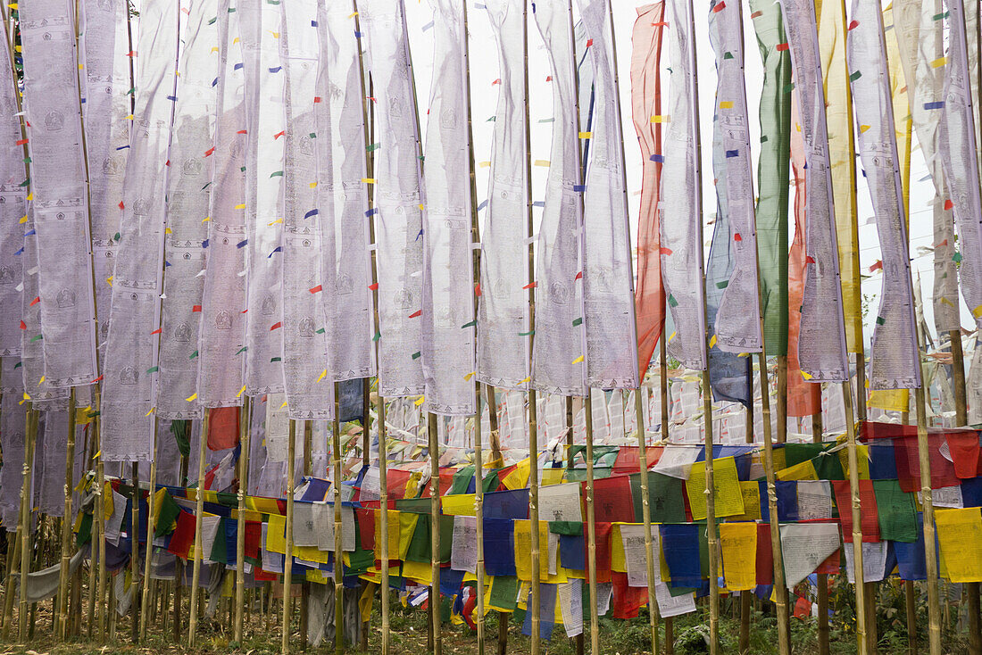 'Buddhist prayer flags at tashiding monastery;West sikkim india'