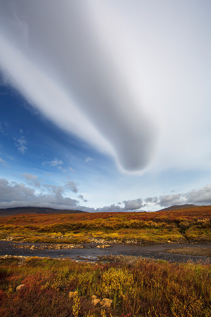 'Lenticular cloud over the tundra along the dempster highway;Yukon canada'