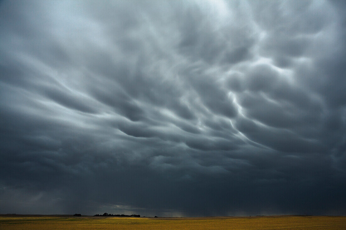 'Mammatus storm clouds above the saskatchewan prairies;Saskatchewan, canada'