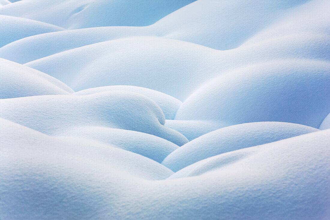 'Close up of snow covered round mounds;Lake louise alberta canada'