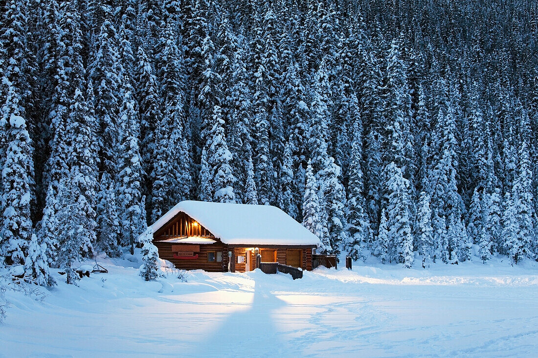 'A snow covered log cabin on a snow covered lakeshore surrounded by evergreen trees at dusk;Lake louise alberta canada'