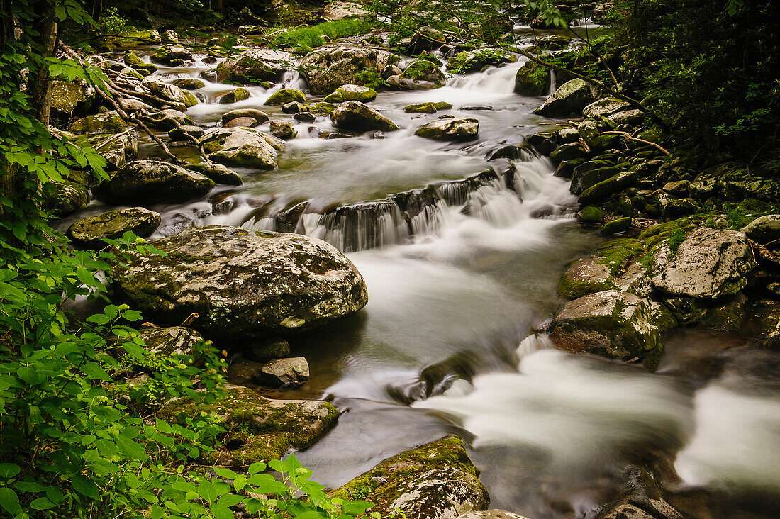 'Water cascading over rocks with lush foliage in great smoky mountains national park;Tennessee united states of america'