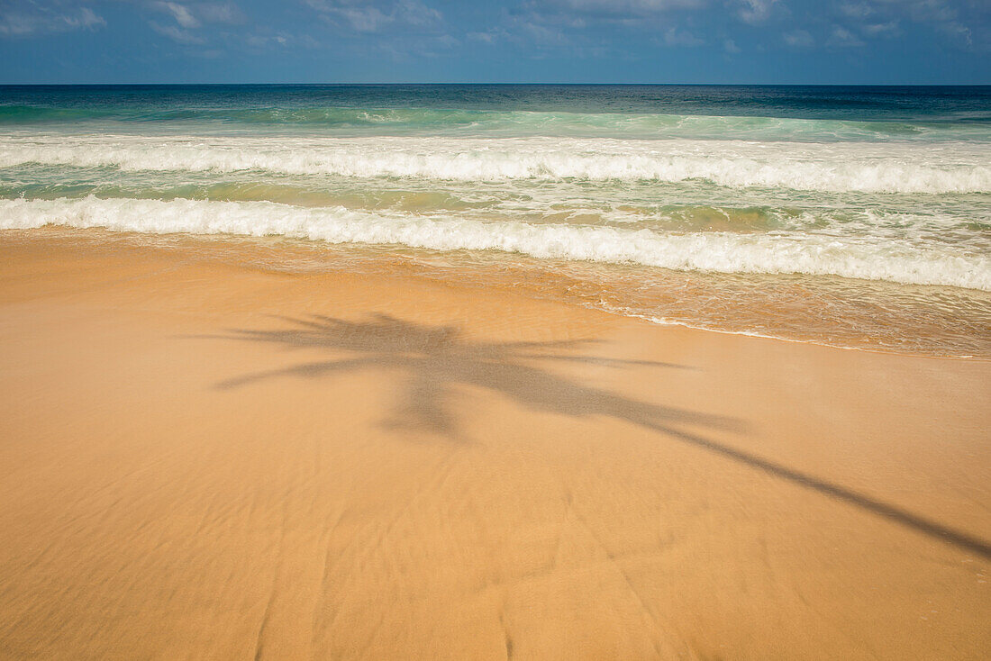 'Shadow Of A Palm Tree On The Sand At Praia Do Boldro;Fernando De Noronha Pernambuco Brazil'
