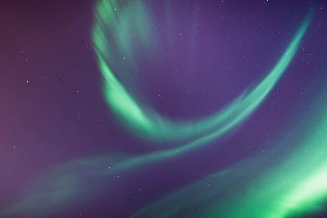 'A green northern lights corona in the sky above the tony knowles coastal trail in winter;Anchorage alaska united states of america'