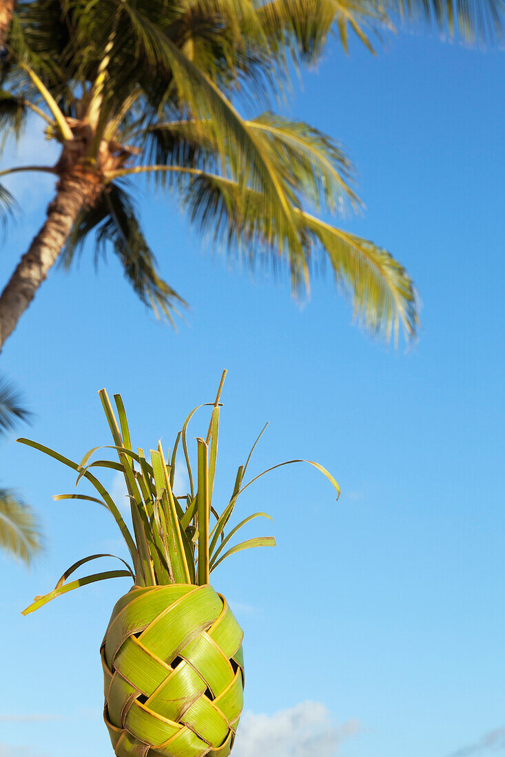 'A pineapple made of braided palm leaves;Waikiki oahu hawaii united states of america'
