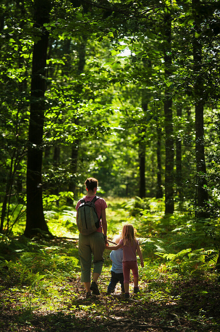 'Mother with boy and girl walking along trail in oak forest;Brittany france'