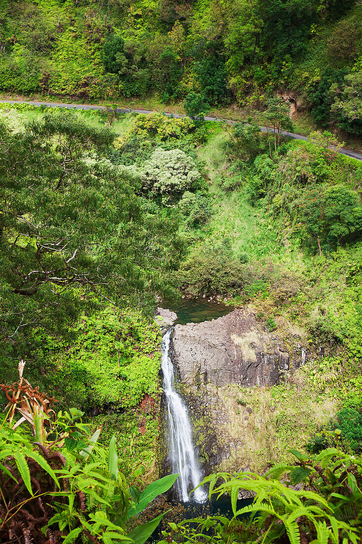 'A view of a waterfall below the road to hana;Maui hawaii united states of america'