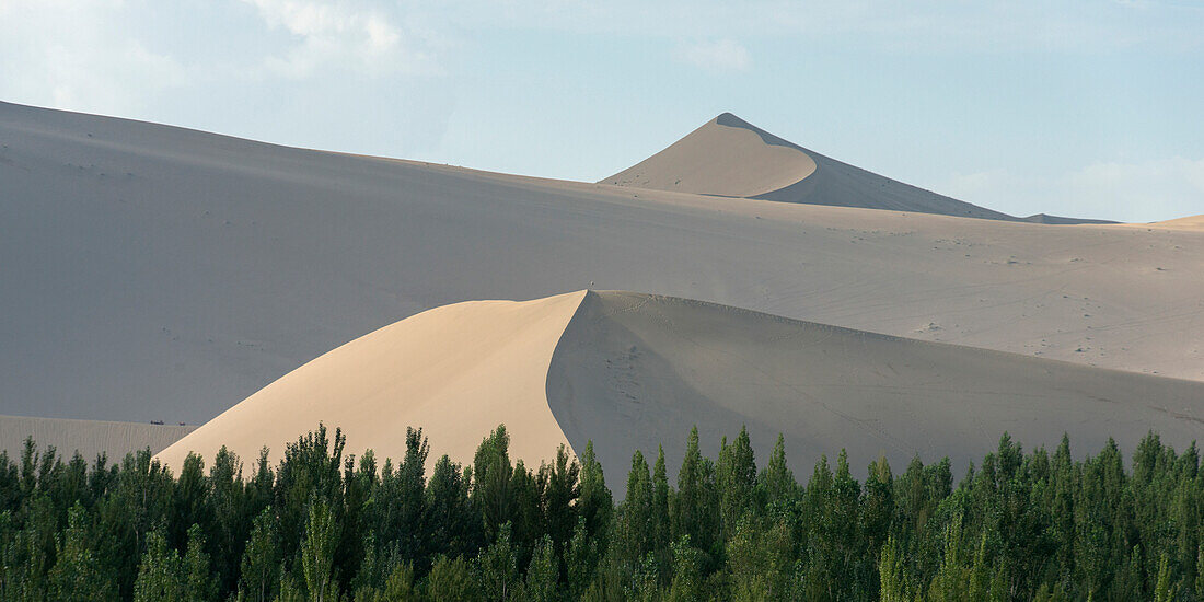 Landscape of sand slopes and ridges with trees in the foreground