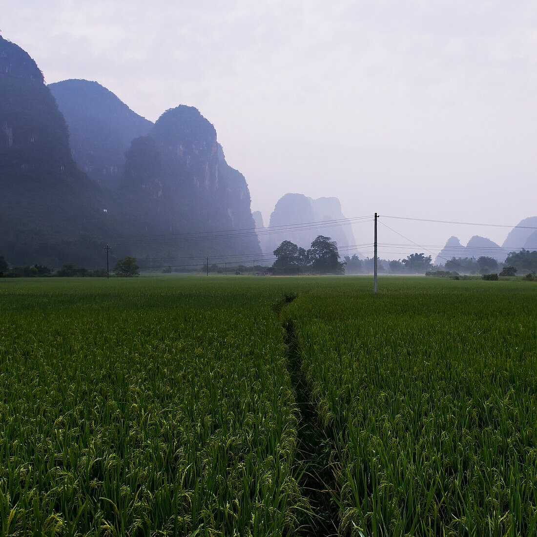 Landscape of rugged rock formations and a path going through a green crop in a field