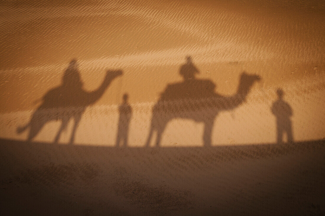 'Shadow of camels with riders on the sand;India'