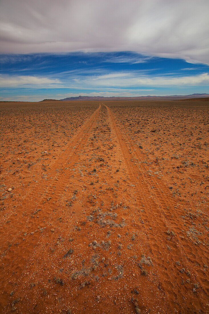 'Tire tracks in the dirt on a desert landscape;Klein-aus vista namibia'