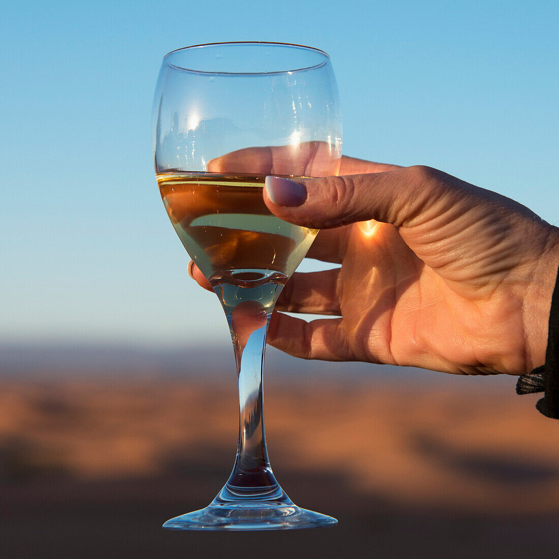 'A woman's hand holding a glass of white wine;Souss-massa-draa morocco'