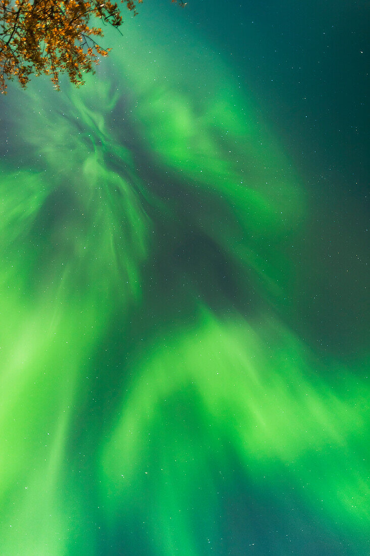 'Northern Lights In The Sky Above The Chena Lakes Recreation Area; Fairbanks, Alaska, United States Of America'