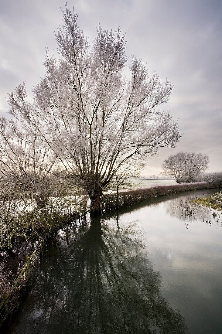 'Cotswold Water Park; Thames Head, England'
