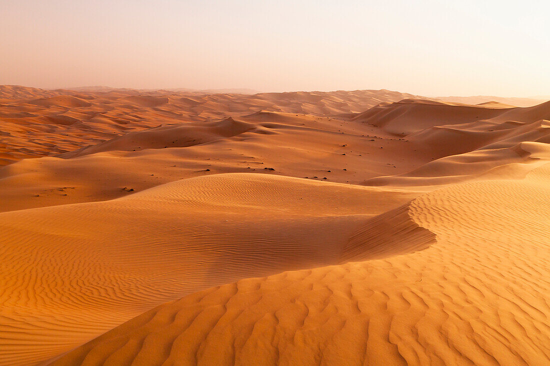 'Sand Dune Landscape; Liwa Oasis, Abu Dhabi, United Arab Emirates'