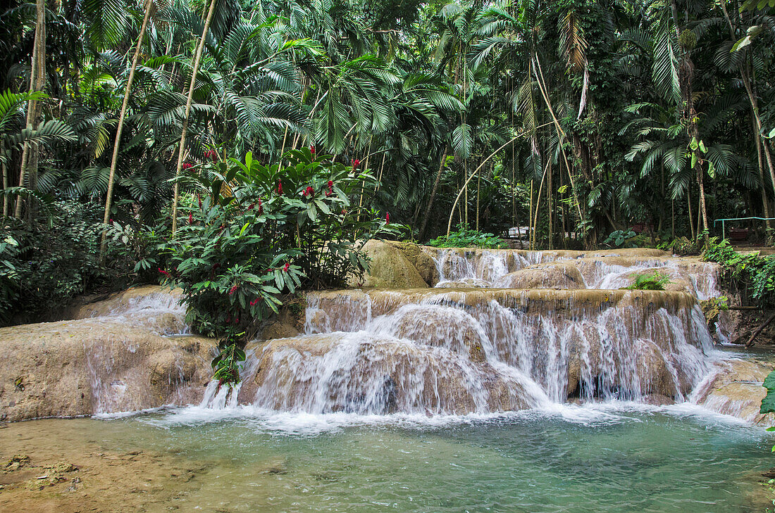 'Waterfalls In Enchanted Gardens; Ocho Rios, Jamaica'