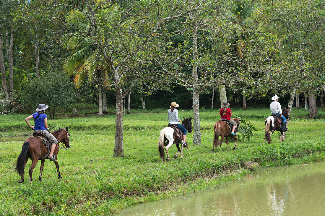 'A Family Horseback Riding On A Trail Along The Water's Edge; Finca El Cisne, Honduras'