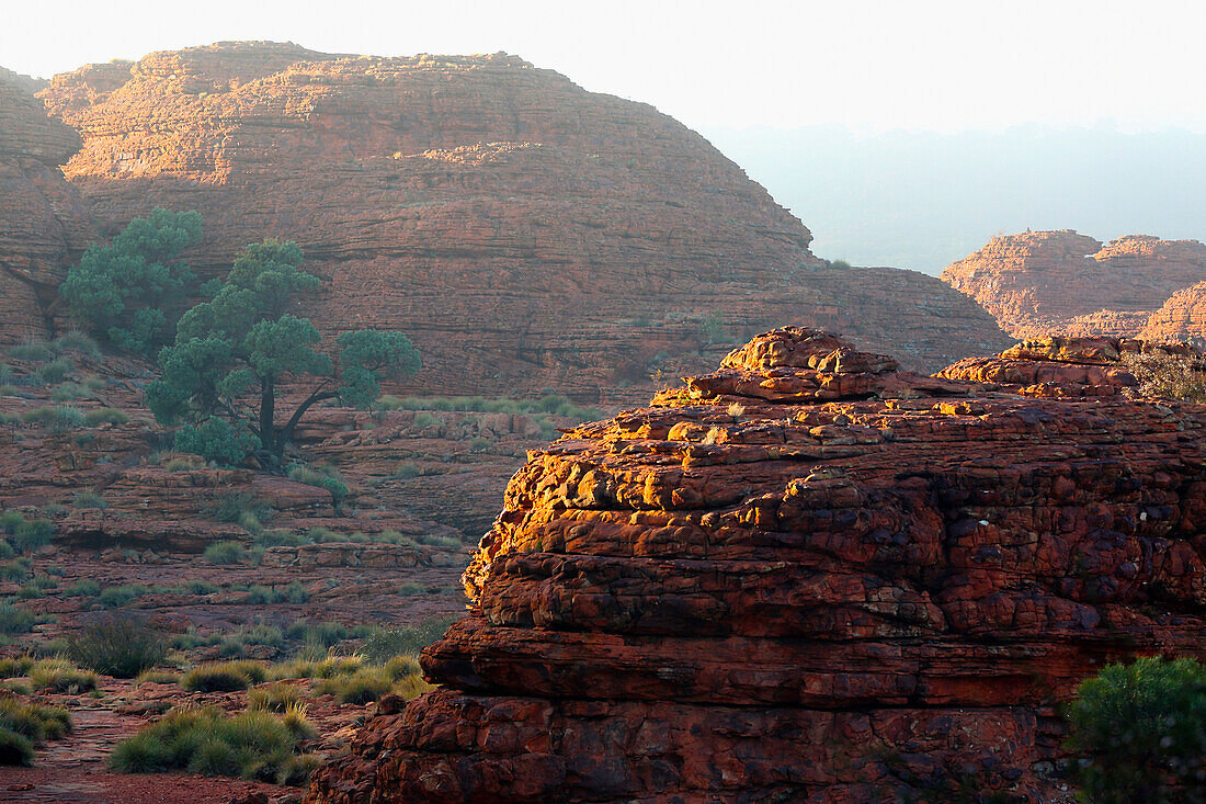 'Kings Canyon; Northern Territory, Australia'
