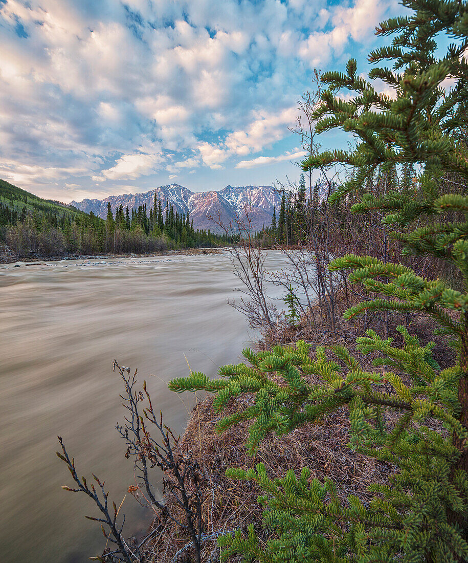 'The Wheaton River flows south towards Bennett Lake; Whitehorse, Yukon, Canada'