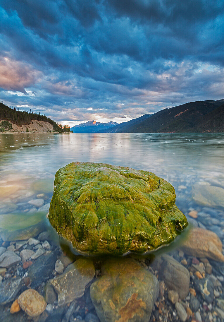 'Algae covered rock, Muncho Lake; British Columbia, Canada'