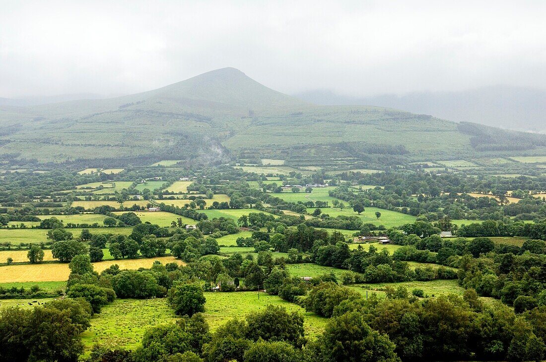 County Tipperary  South across lush green field farmland of the Glen of Aherlow to the Galtee Mountains  Ireland