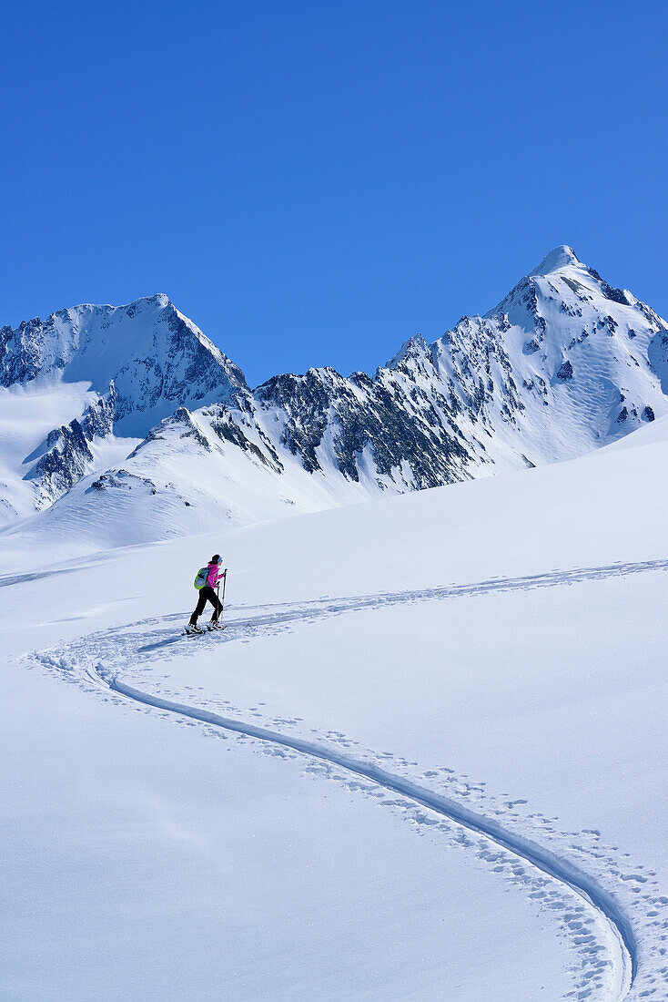 Female back-country skier ascending to Eiskoegele, Obergurgl, Oetztal range, Tyrol, Austria