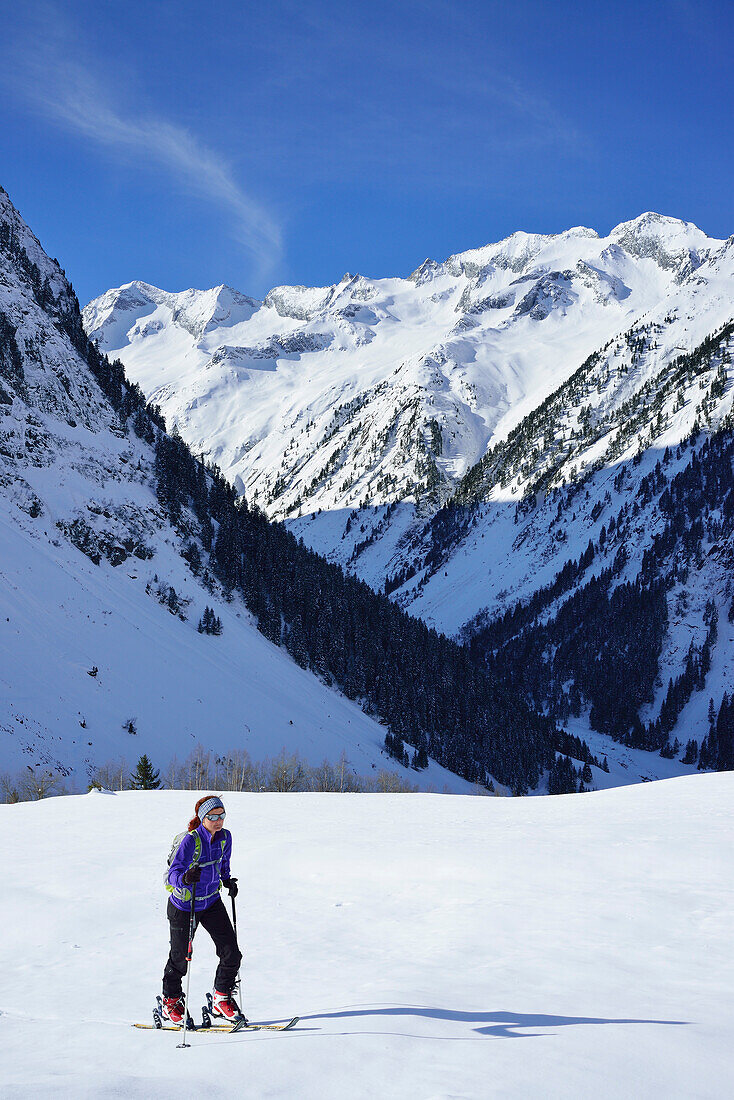Frau auf Skitour steigt zum Zillerkopf auf, Napfspitz, Hohe Warte und Hoher Ribler im Hintergrund, Zillertal, Zillertaler Alpen, Tirol, Österreich
