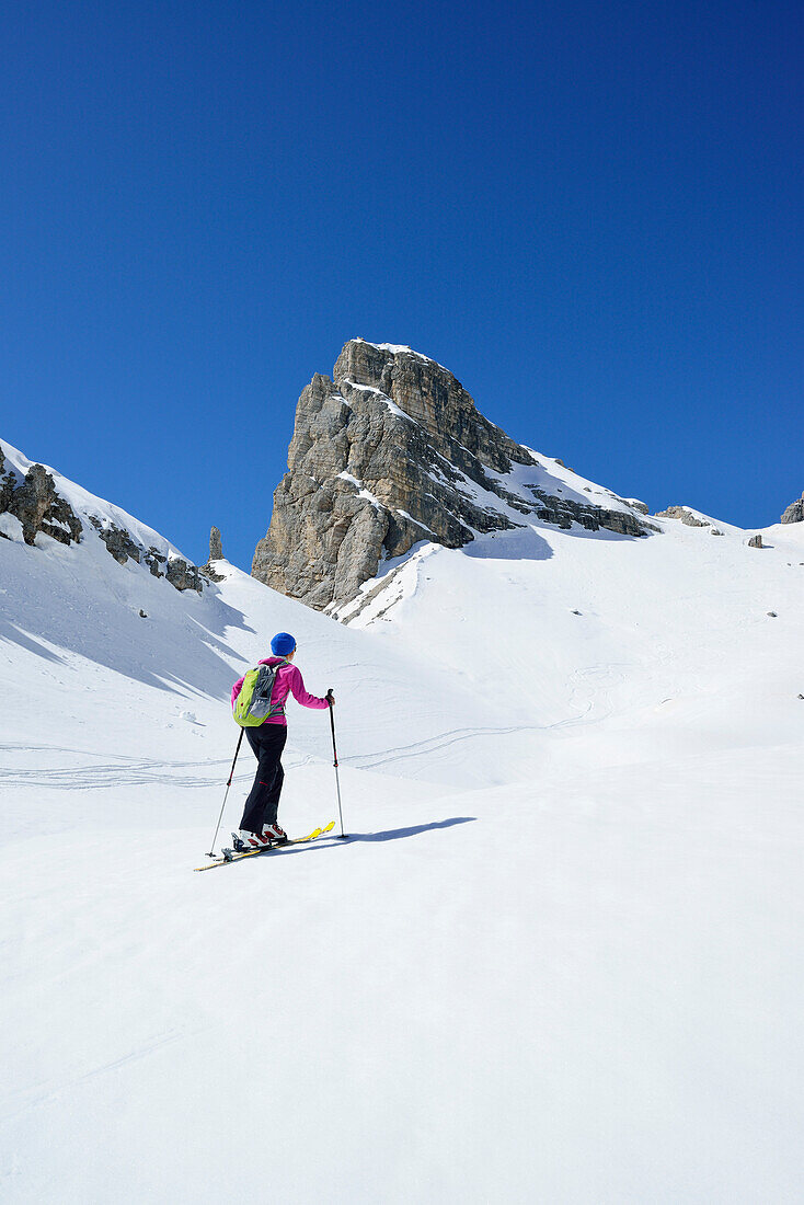 Female back-country skier ascending to Corno d Angolo, Cristallo Group, Dolomites, Veneto, Italy