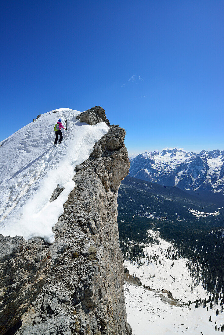 Female back-country skier ascending to Corno d Angolo, Cristallo Group, Dolomites, Veneto, Italy